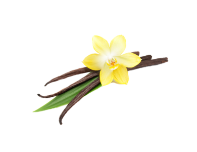 1 vanilla bean